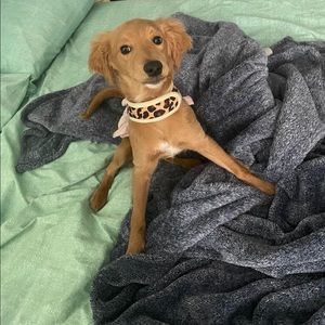 Meet your Posher, Brandon